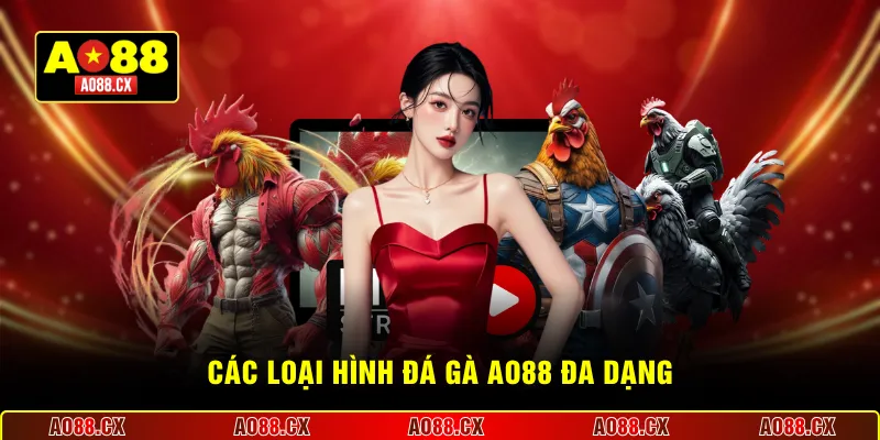 Các loại hình đá gà AO88 đa dạng